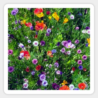 painterly wildflowers 1 Sticker